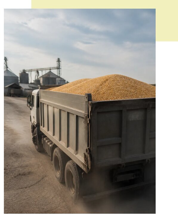 Перевозка сельхозпродукции навалом в Нальчик по цене от 3109 р. | Агросервис-Нль