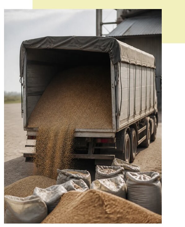 Перевозка фуражного зерна в Нальчик по цене от 1554 р. | Агросервис-Нль